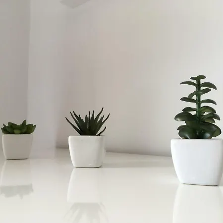 Apartments Novi Vinodolski 公寓